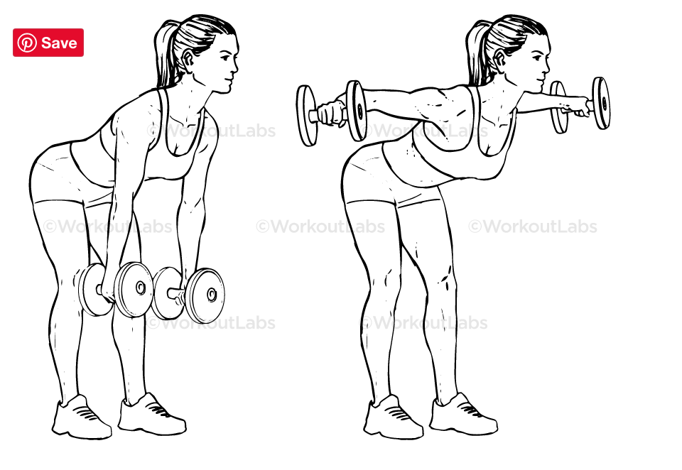 Upper body cheap exercises for beginners